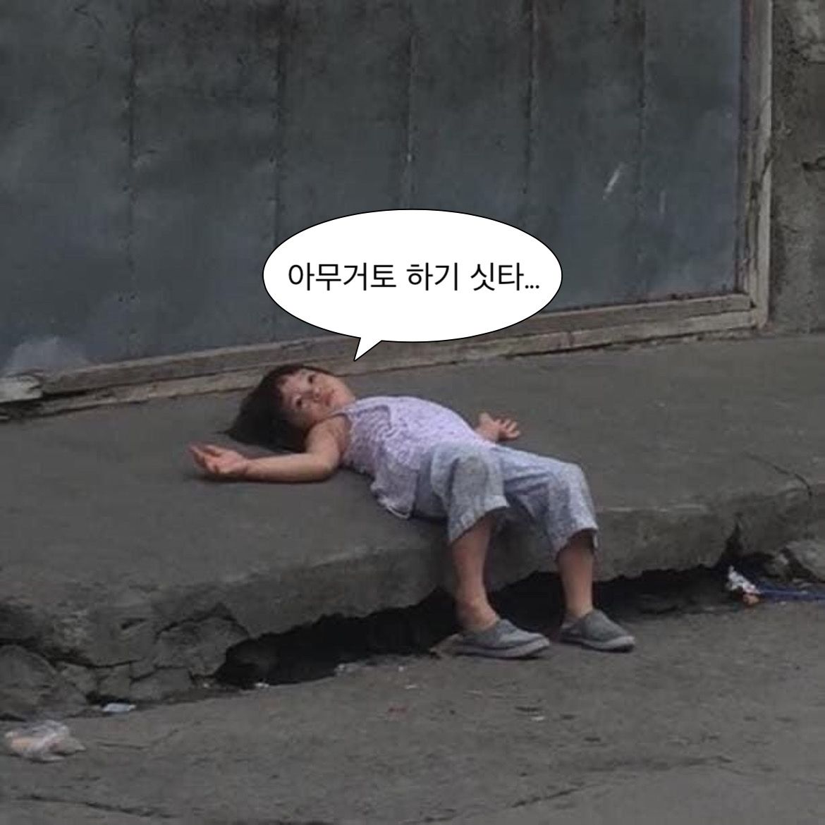 라떼